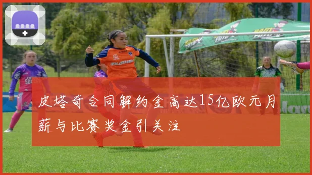 皮塔奇合同解约金高达15亿欧元月薪与比赛奖金引关注