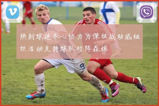 热刺球迷齐心协力为保级战助威组织活动支持球队对阵森林