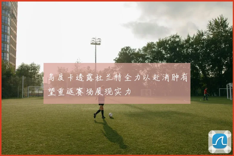 乌度卡透露杜兰特全力以赴消肿有望重返赛场展现实力